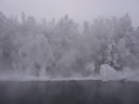 steam frosted trees